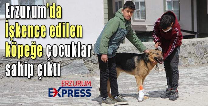 İşkence edilen köpeğe çocuklar sahip çıktı