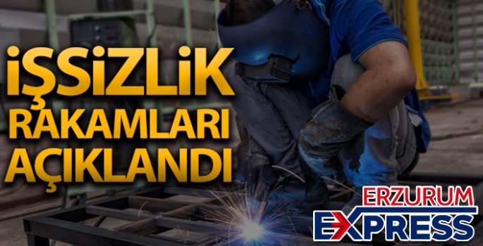 İşsizlik oranı 1,1 puan azaldı