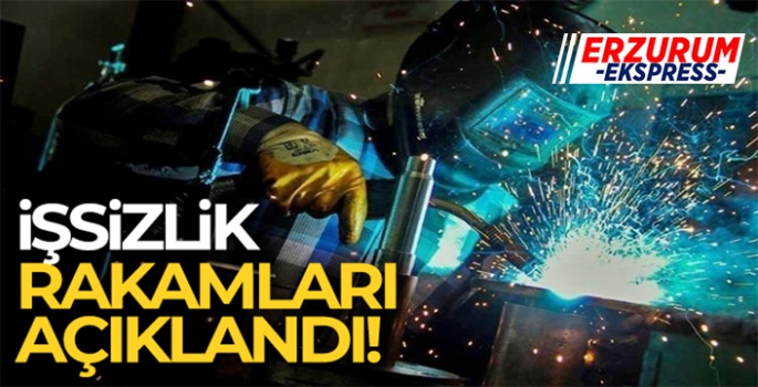 İşsizlik rakamları açıklandı!