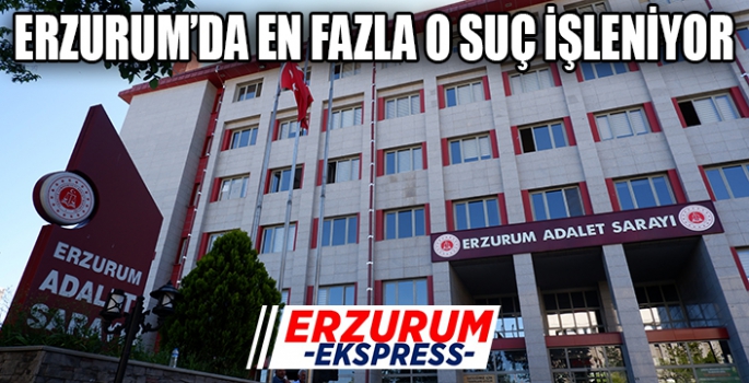 İşte Erzurum Adliyesi'ne gelen en çok 10 suç