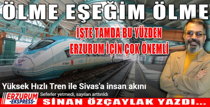 İŞTE TAMDA BU YÜZDEN ERZURUM İÇİN HIZLI TREN ÇOK ÖNEMLİ