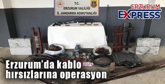 Jandarma ekiplerinden kablo hırsızlarına operasyon