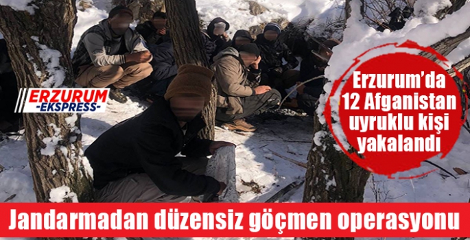 Jandarmadan düzensiz göçmen operasyonu