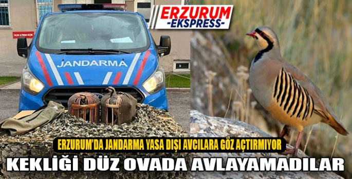 Jandarmadan yasa dışı keklik avcılarına suçüstü