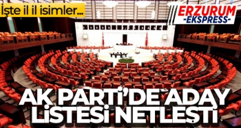 AK Parti'de 16 kabine üyesi milletvekili aday oldu