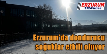 Erzurum'da dondurucu soğuklar etkili oluyor