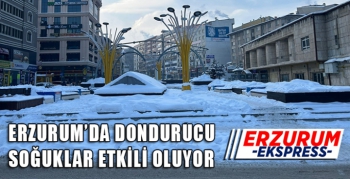  Erzurum’da dondurucu soğuklar etkili oluyor