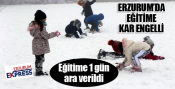 Erzurum'da eğitime kar engeli...