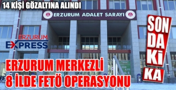 Erzurum merkezli 8 ilde FETÖ operasyonu: 14 gözaltı