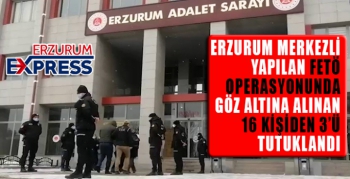 Erzurum merkezli 8 ilde FETÖ operasyonu: 3 tutuklama