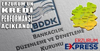 Erzurum’un kredi performansı açıklandı