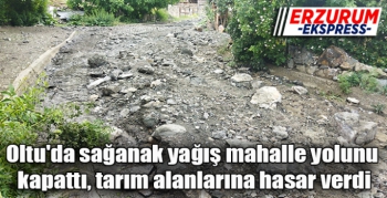 Oltu'da sağanak yağış mahalle yolunu kapattı, tarım alanlarına hasar verdi