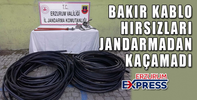 Kablo hırsızları jandarmadan kaçamadı