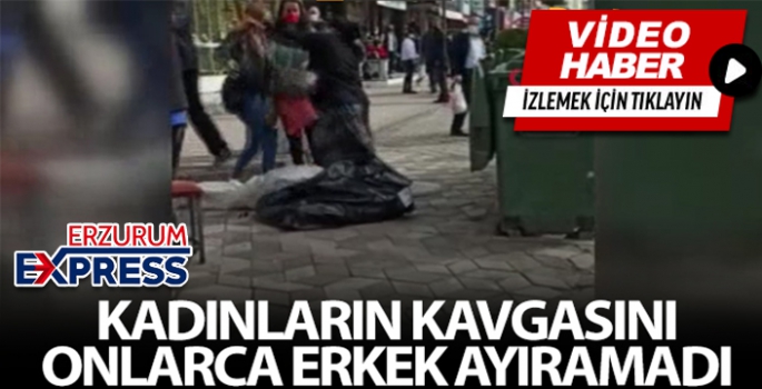 Kadınların kavgasını onlarca erkek ayıramadı