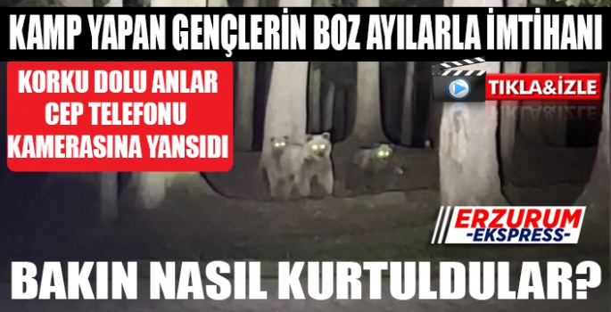 Kamp yapan gençlerin boz ayılarla mücadelesi