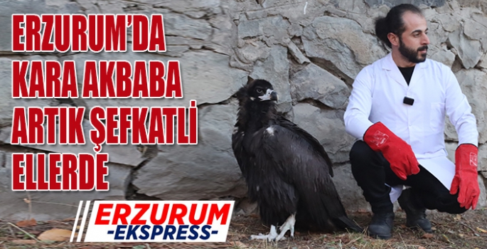 Kara akbaba artık şefkatli ellerde