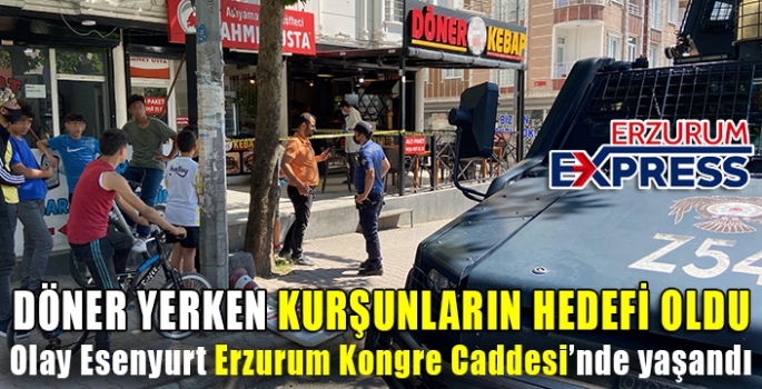 Kardeşini döven kişiye kurşun yağdırdı