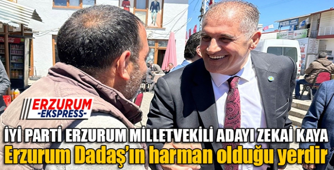 Kaya; “Erzurum Dadaş’ın harman olduğu yerdir”