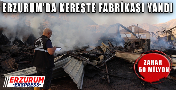 Kereste fabrikası yandı, zarar 50 milyon TL