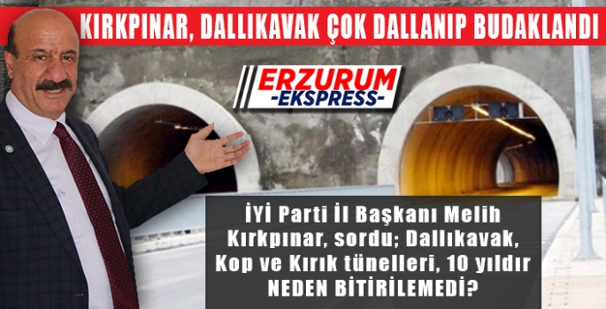 KIRKPINAR, DALLIKAVAK ÇOK DALLANIP BUDAKLANDI