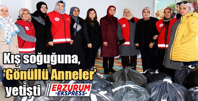 Kış soğuğuna, ‘Gönüllü Anneler’ yetişti