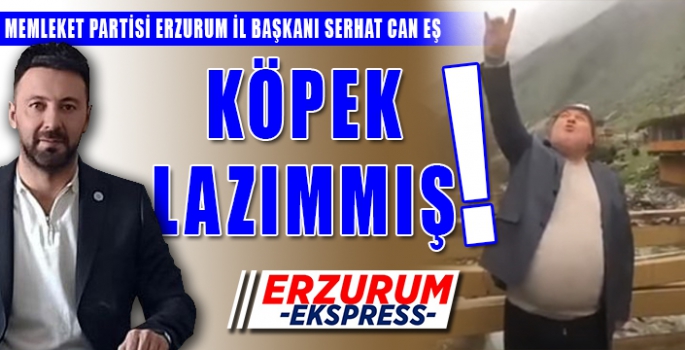 KÖPEK LAZIMMIŞ!