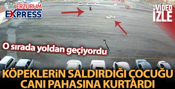 Köpeklerin saldırdığı çocuğu canı pahasına kurtardı