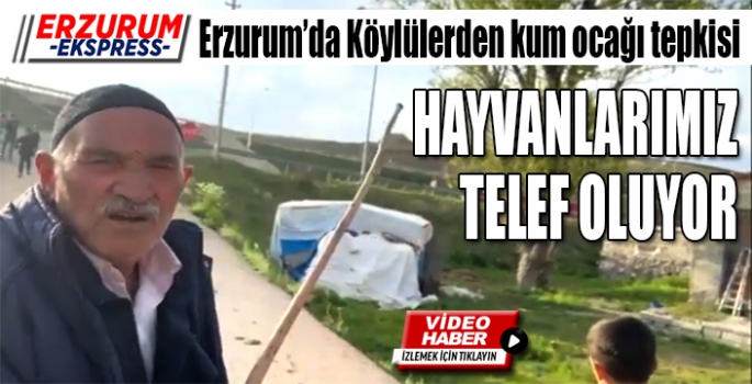 Köylülerden kum ocağı tepkisi, Hayvanlarımız telef oluyor