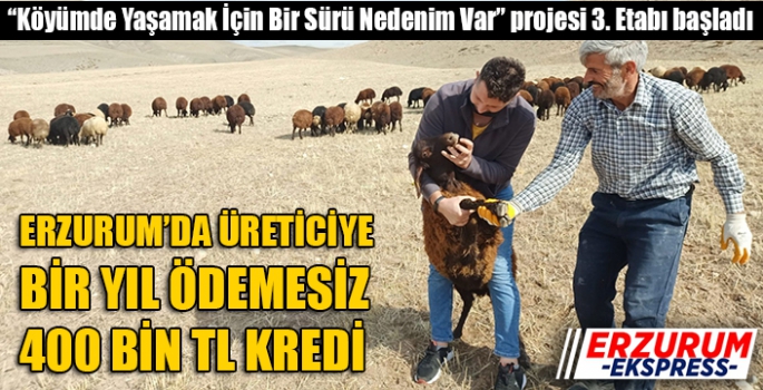 Köyümde Yaşamak İçin Bir Sürü Nedenim Var, projesi yeniden başladı