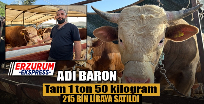 Kurban Pazarlarında hareketlilik başladı