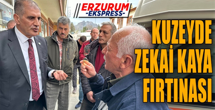 KUZEYDE ZEKAİ KAYA FIRTINASI 