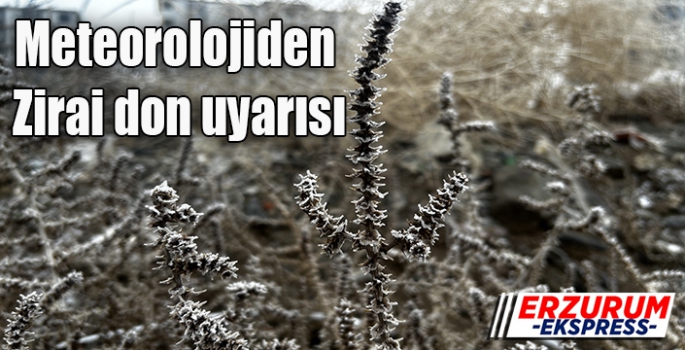 Meteorolojiden zirai don uyarısı