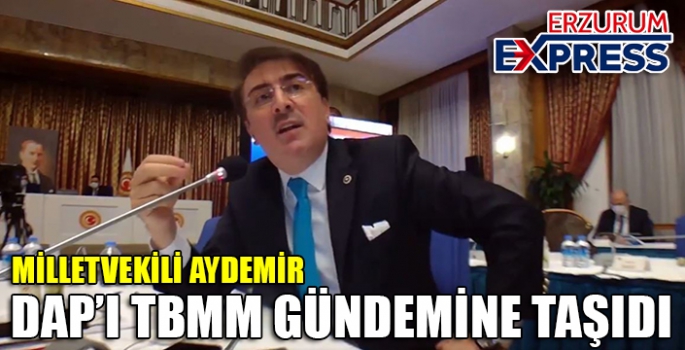 Milletvekili Aydemir DAP’ı TBMM gündemine taşıdı