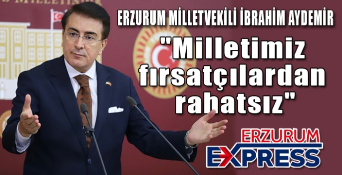 Milletvekili Aydemir, 