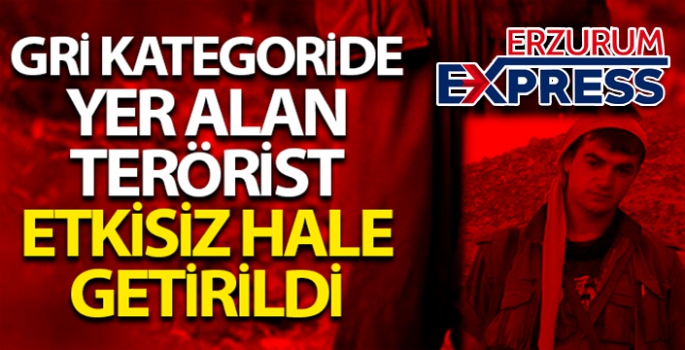 MİT, PKK'lıları bir bir etkisiz hale getiriyor