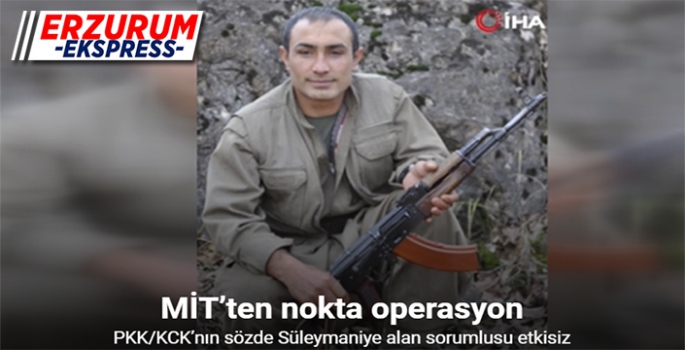 MİT’ten nokta operasyon