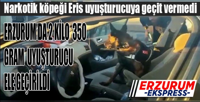 Narkotik köpeği Eris uyuşturucuya geçit vermedi