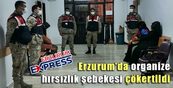 Organize hırsızlık şebekesi çökertildi