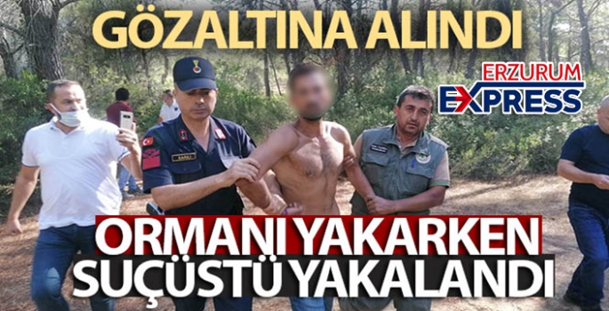 Ormanı yakarken suçüstü yakalandı