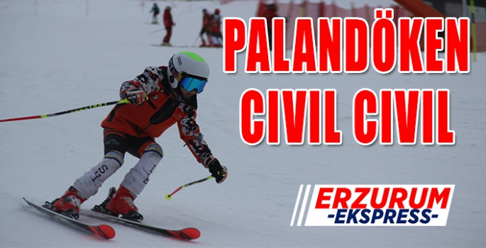 PALANDÖKEN CİVİL CİVİL 