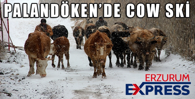 PALANDÖKEN'DE COW SKİ