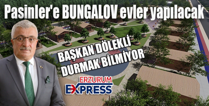 Pasinler'e bungalov evler yapılacak. 