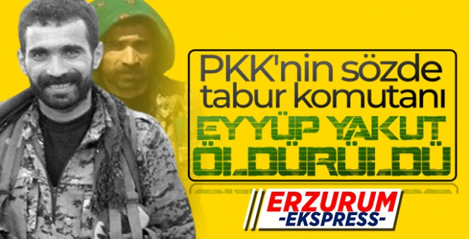 PKK'YA BİR ÇİZİK DAHA 