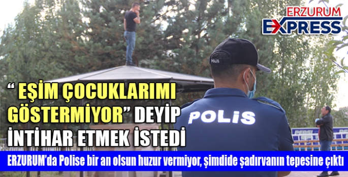 Polise bir an olsun huzur vermiyor, şimdide şadırvanın tepesine çıktı