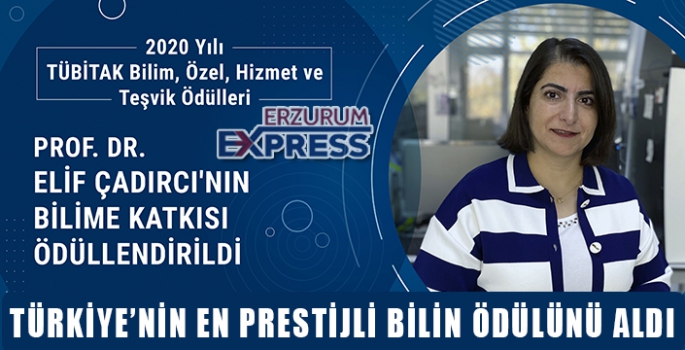  Prof. Dr. Elif Çadırcı’nın bilime katkısı ödüllendirildi