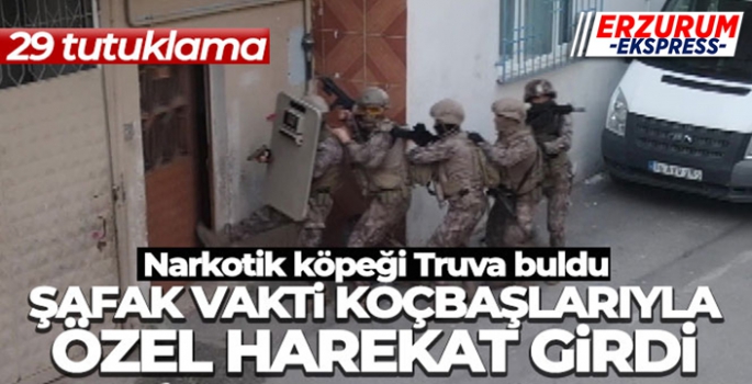 Şafak vakti koçbaşlarıyla özel harekat girdi: 29 tutuklama