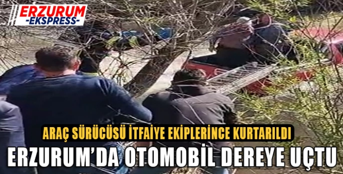 Sürücü aracıyla dereye uçtu