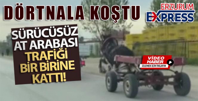 Sürücüsüz at arabası trafiği bir birine kattı