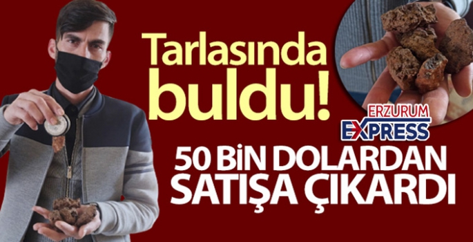 Tarlasında bulduğu taşları 50 bin dolardan satışa çıkardı