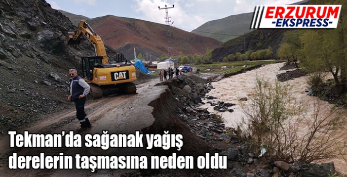 Tekman’da sağanak yağış derelerin taşmasına neden oldu